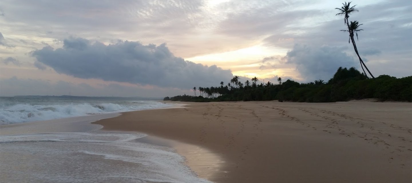 Черепаший пляж , Рекава. Шри-Ланка