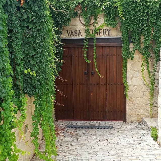 Винодельня в деревне Васа (Vasa) Кипр