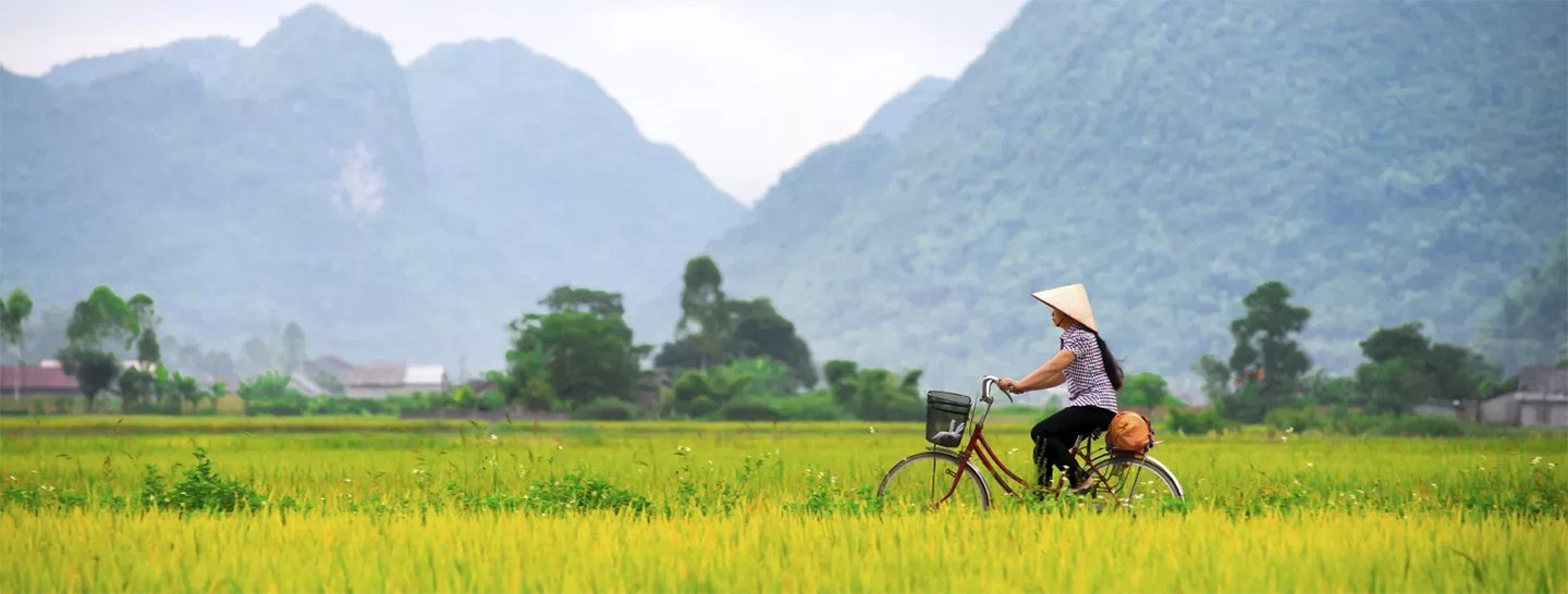 Вьетнамская женщина едет на велосипеде