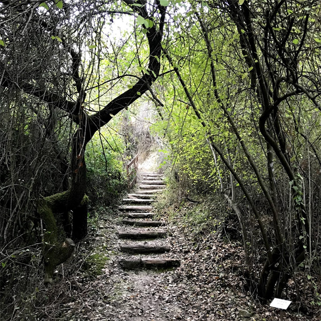 Пешая тропа Anerades Nature Trail Кипр