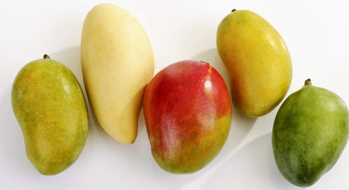 Виды манго