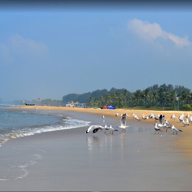 Пляж Кансаулим. Гоа, Индия.