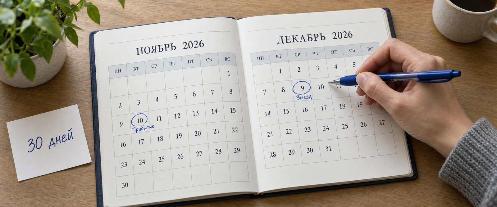 Календарь с отмеченными датами прибытия 10 ноября и выезда 9 декабря