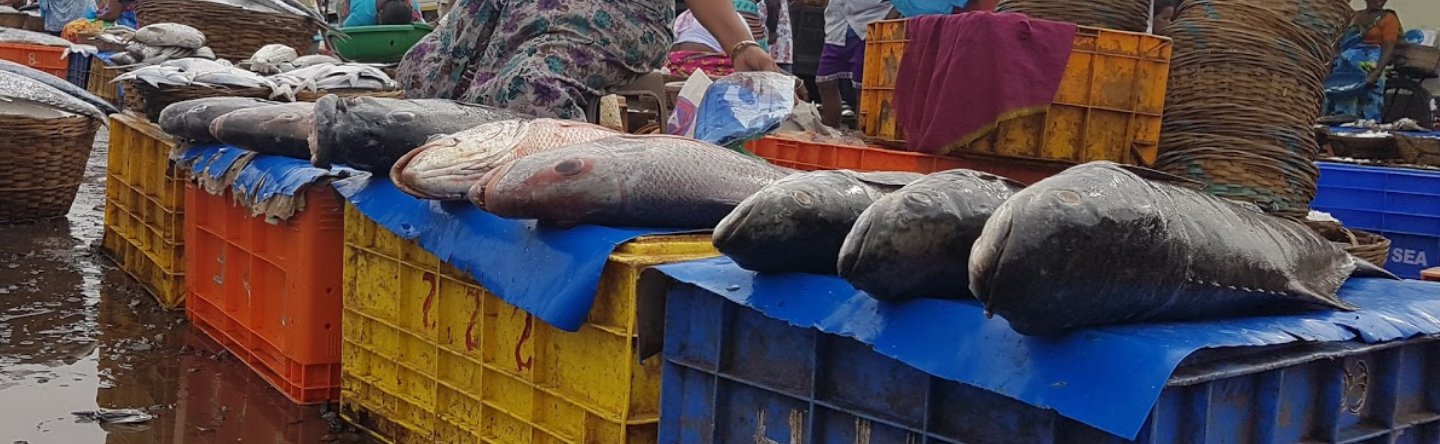 Рыбный маркет. Goa,Margao.